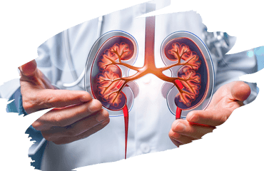 Ayurvedic Treatment for Chronic Kidney Disease (CKD)